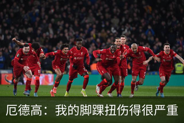 厄德高：我的脚踝扭伤得很严重
