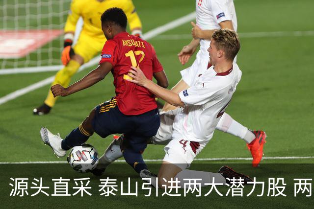 源头直采 泰山引进两大潜力股 两外援抵达济南